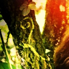 Torrent Or Shower [original] by Rose Segal