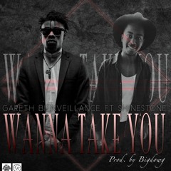 Wanna Take You(feat Shinestone)