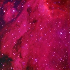 My love is your Love (Whiteny Houston tribute)