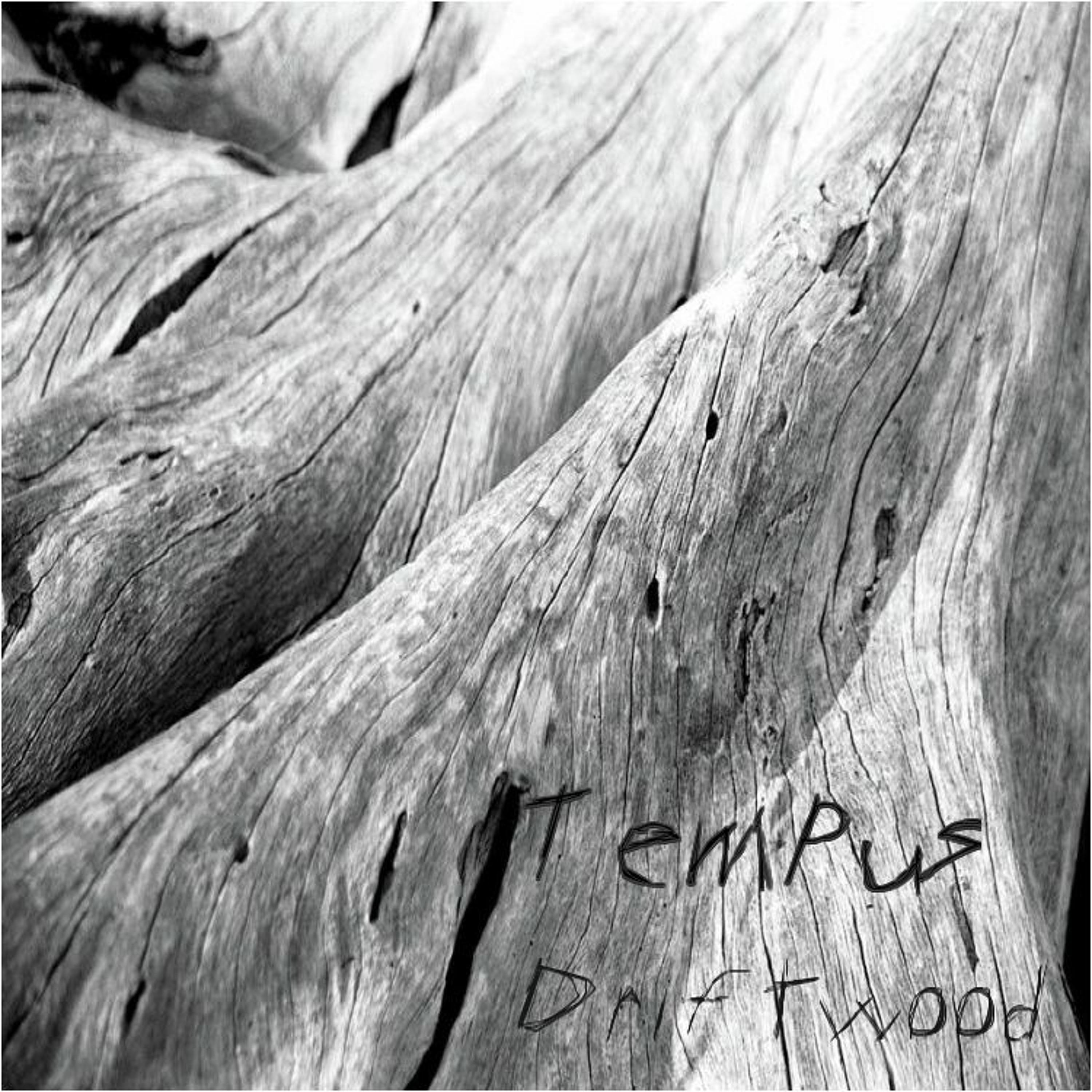 The Tempus Collective - "Driftwood" episode artwork