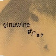 Ginuwine - Pony (Remix)