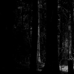 Into The Darkness (Breakcore)