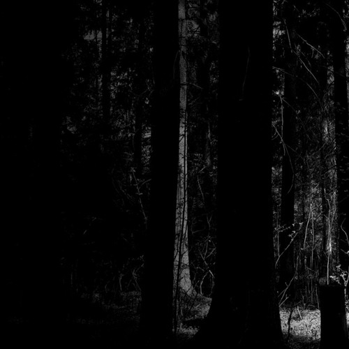 Into The Darkness (Breakcore)