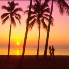 Endless Summer Night