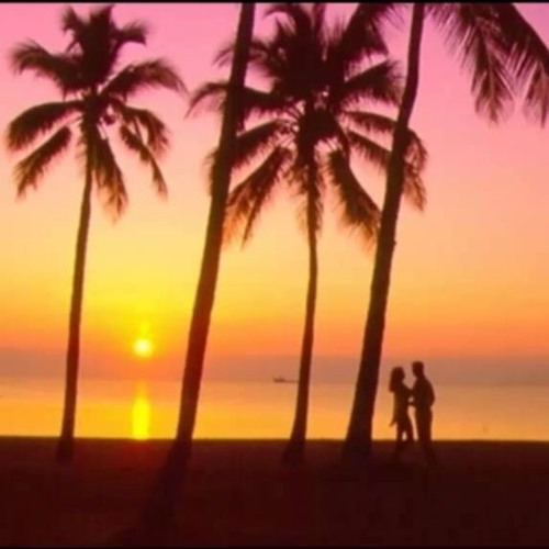 Endless Summer Night
