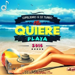 Dj Peligro Ft Dj Turbo - Ella Quiere Playa (2016)