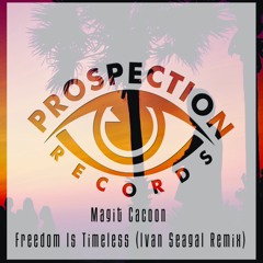 Magit Cacoon - Freedom Is Timeless (Ivan Seagal Remix) [FREE DOWNLOAD]