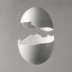 Autechre - Eggshell (monoform Cover)