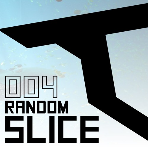Random Slice 004