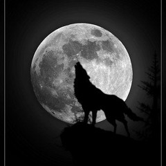 Chant To The Full Wolf Moon - (Jaya Devi Mata)