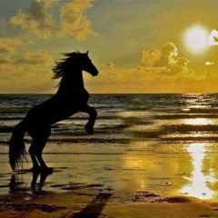 Ride (Dirty) - Chase Rice (Aromatik Remix)