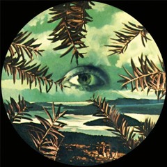 16COMPA CS - Cambio Obligatorio