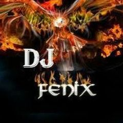 DJ FENIX MIXAGEM DOS CDS SUMMER ELETROHITS 2015 E 2016