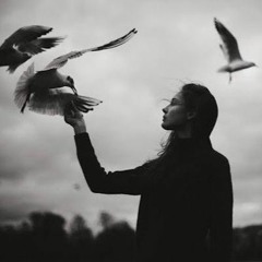 Love Song (Vashti Bunyan Cover)