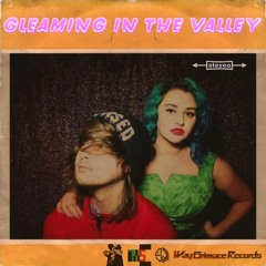 Gleaming In The Valley (Club Mix)