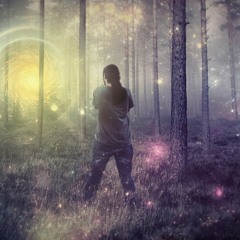 The Magical Forest