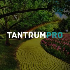 TantrumPRO - I Know The Way (Snippet)
