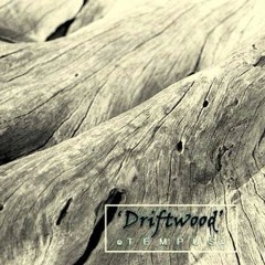 Driftwood  - Tempus