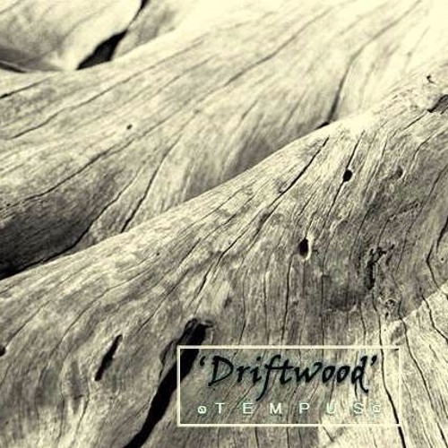 Driftwood  - Tempus