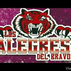 Los Alegres Del Bravo - Corrido del Paisano