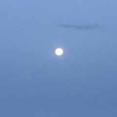 Thank You Hüsker Dü