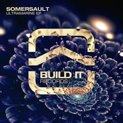 Somersault - The Plunge