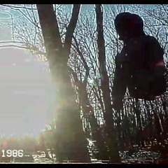 Toxicodendron Radicans