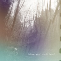 Blocktreat - Follow Your Stupid Heart
