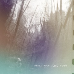 Follow Your Stupid Heart