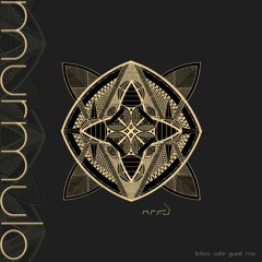 B-Box café radio (Guest mix)