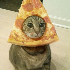 Pizzicat