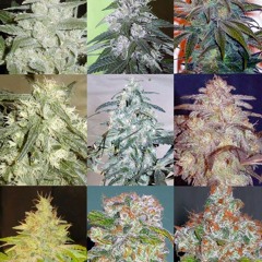 Lit Remix[Smokin' Different Flavors] Feat. C.clips