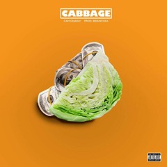 Cabbage (prod. by Brian\Folk)