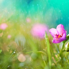 Iis Sugianto - Memory Januari