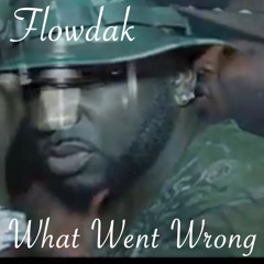 What Went Wrong (Clean)