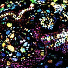 Praeditos Collab. [KONOKUNOK & Joakim Lartey - percussion]