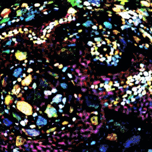 Praeditos Collab. [KONOKUNOK & Joakim Lartey - percussion]