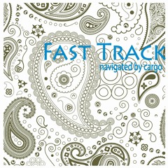 FAST TRACK navigated by cargo - Trailer