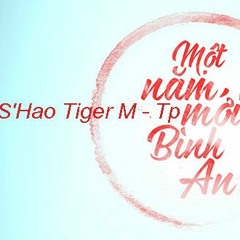 Một Năm Mới Bình An - Poti Hao M - TP
