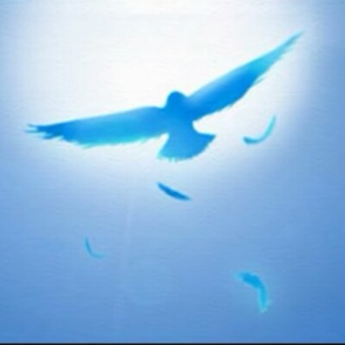 Stream Raon Lee - Blue Bird.mp3 by Sail Muarif | Listen online for free on  SoundCloud
