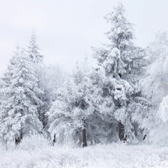 Белая зима