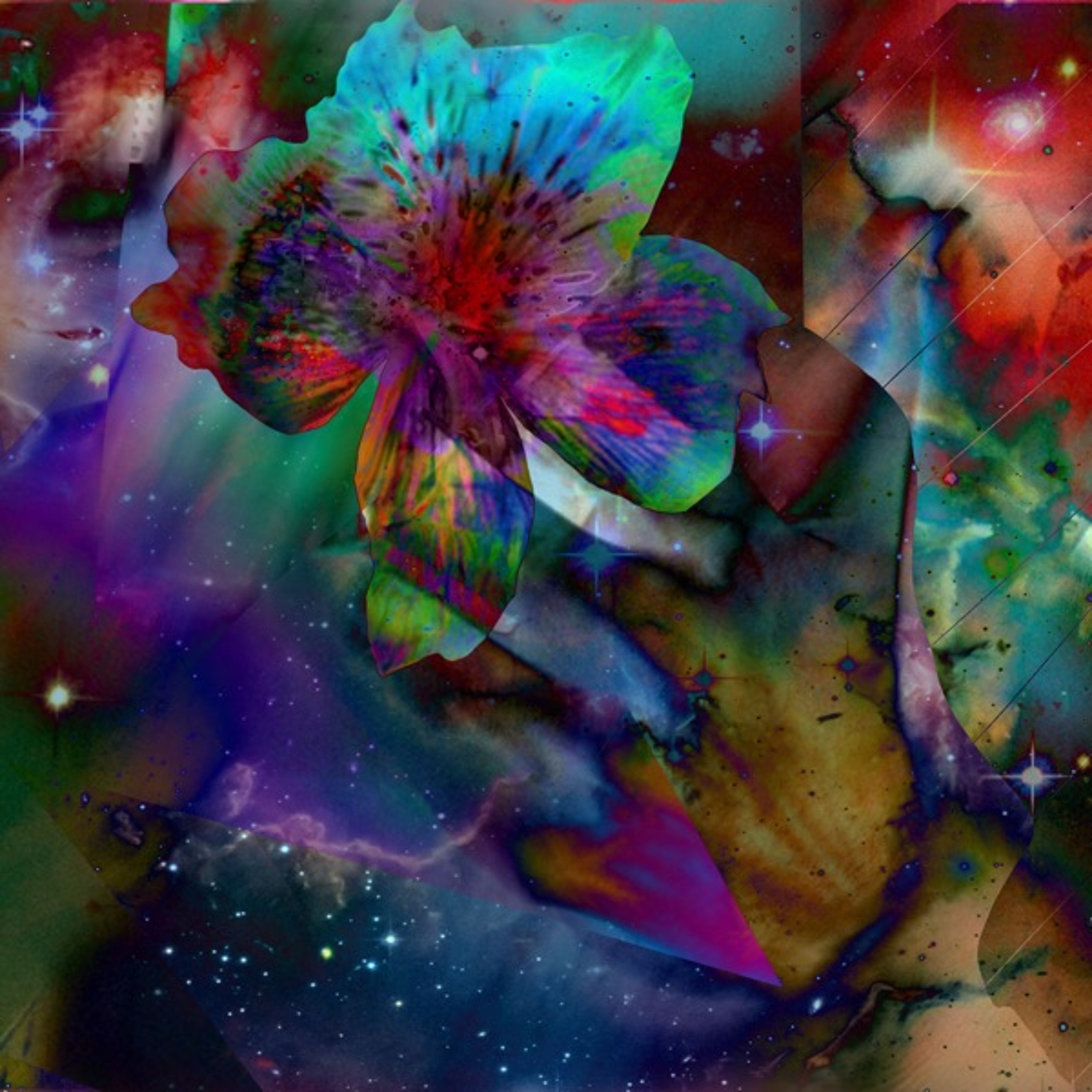 psicotic_1 episode artwork