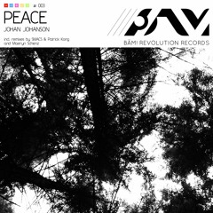 Johan Johanson - Peace (Maeryn Schenz Remix)
