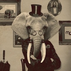 The Elephant in The Room - This is Just Beginning (Demo)