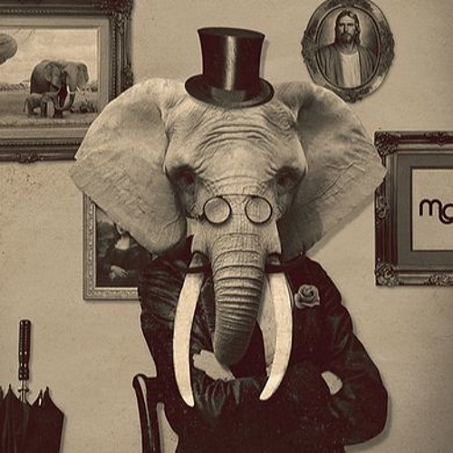 The Elephant in The Room - This is Just Beginning (Demo)