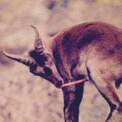 Six Point One One Miles Through Cosmic Slush & Debauchery