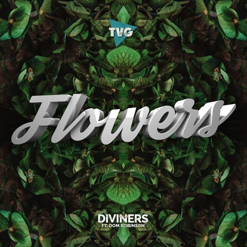 Diviners - Flowers (ft. Dom Robinson)