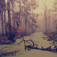 Black Rooster 2 demo