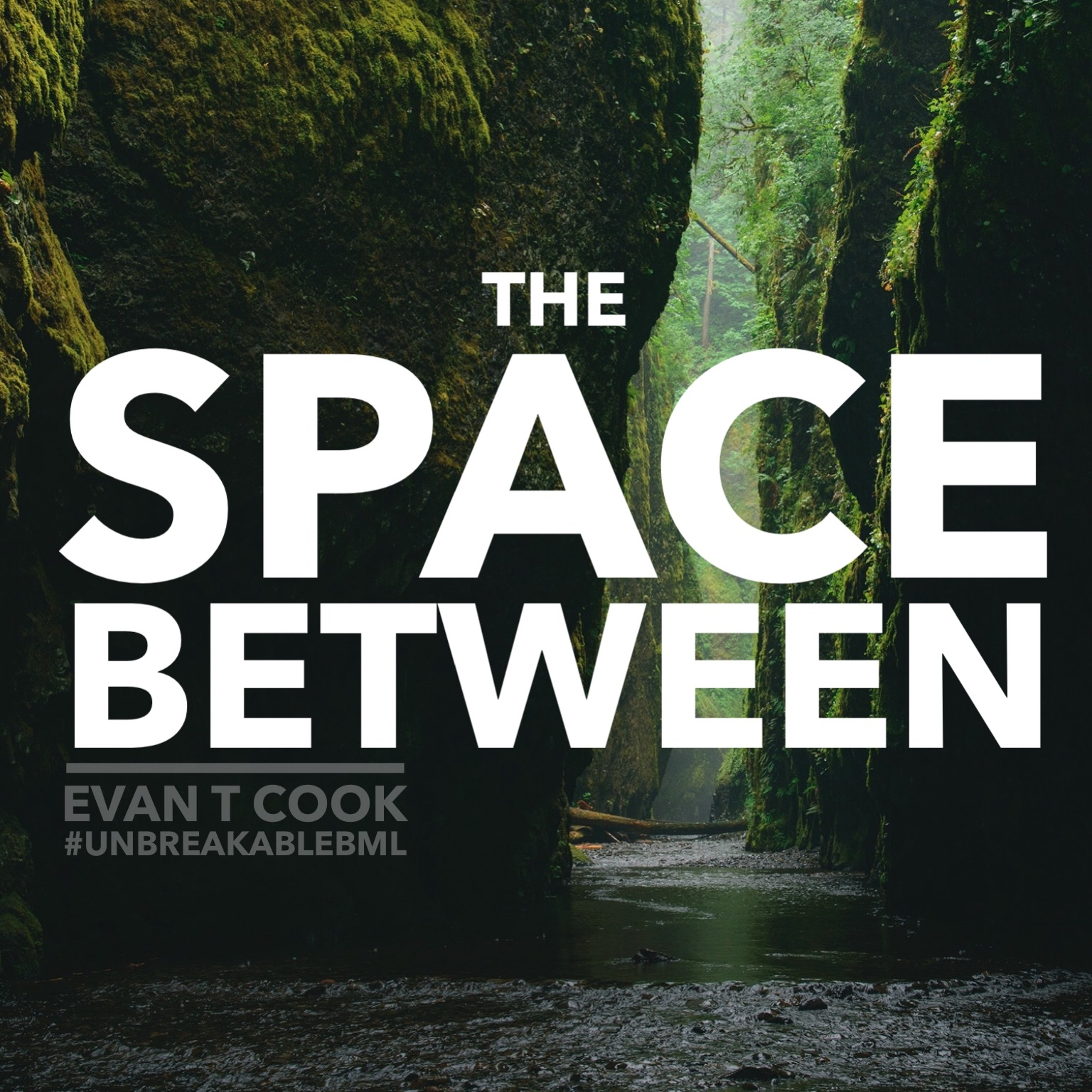 The Space Between episode artwork