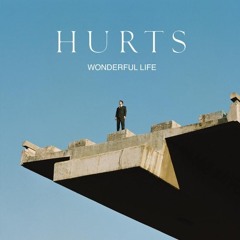 Hurts - Wonderful Life (GabiM DLG Remix)